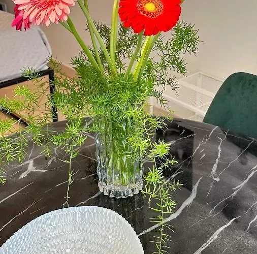 Dea Teti Couette-café